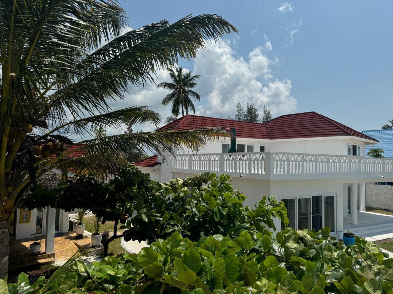 Zen-zanzibar Front *